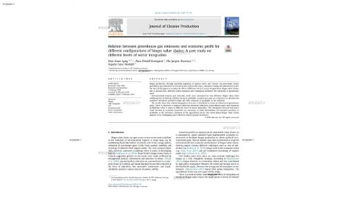 Relation between greenhouse gas emissions and economic profit for different configurations of biogas value chains: A case study on different levels of sector integration